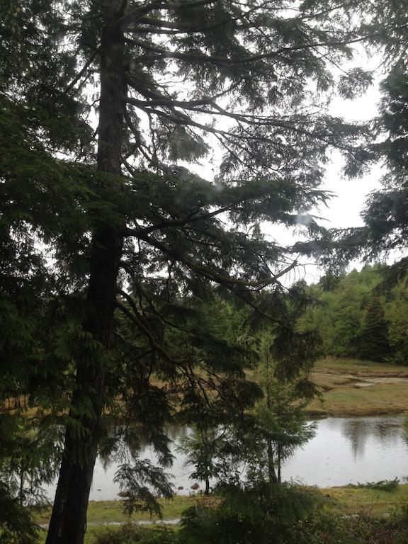 Hyphocus Inn Ucluelet Kültér fotó